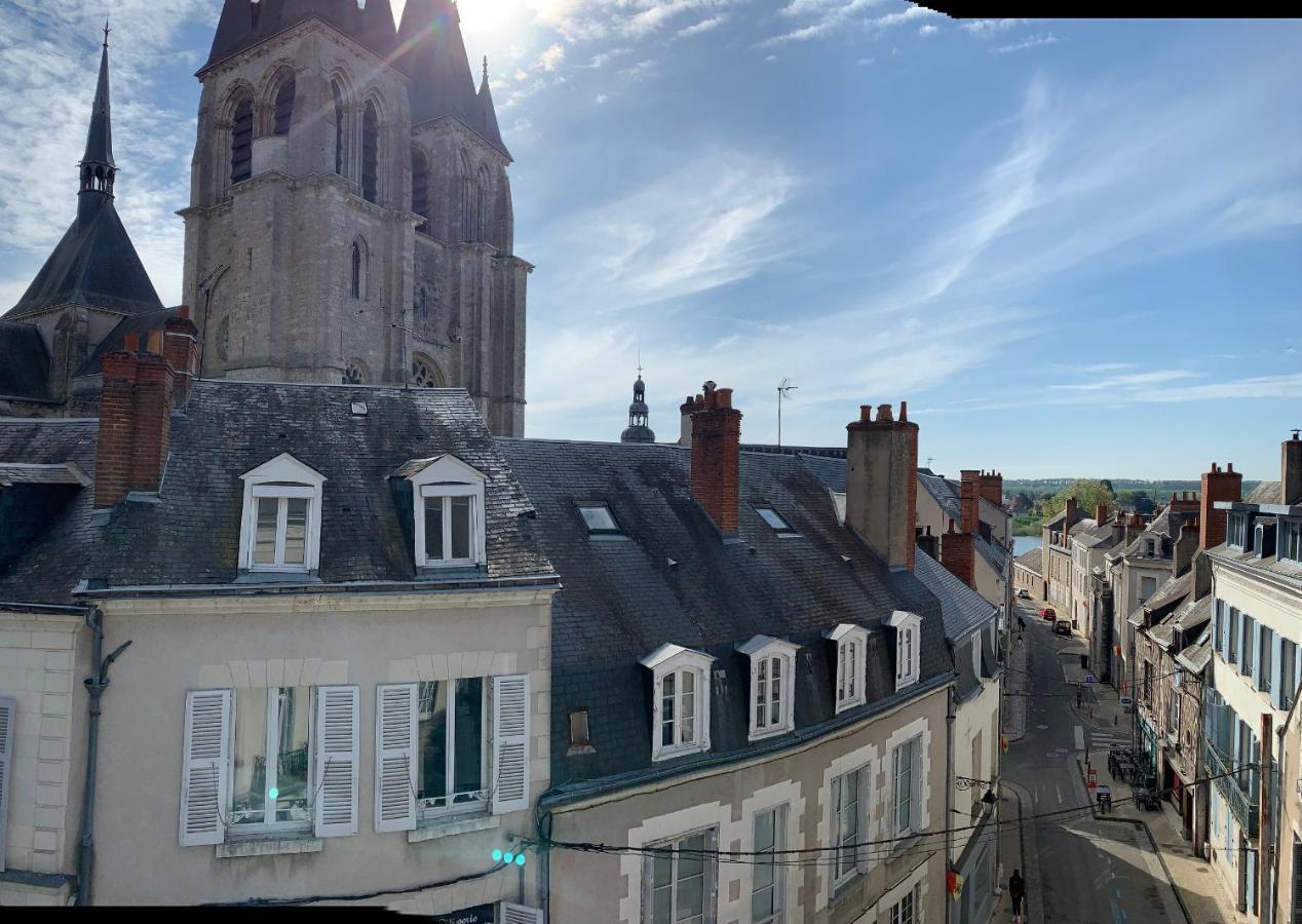 T2 - Au Calme Royaloire - Chateau A Vue - Luxe, Renove Blois Exteriör bild