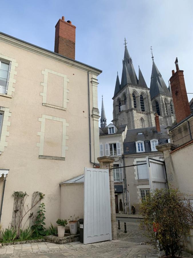 T2 - Au Calme Royaloire - Chateau A Vue - Luxe, Renove Blois Exteriör bild